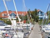 Beach nest at the marina