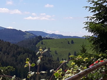 Ferienwohnung Toscana