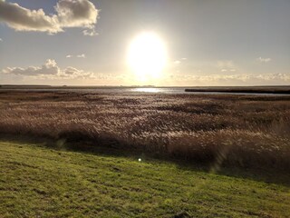 Ferienwohnung Zingst Umgebung 7