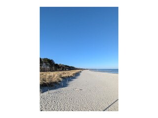 Ferienwohnung Zingst Umgebung 8