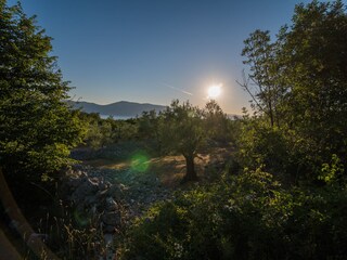 Villa Linardići Ambiente 24