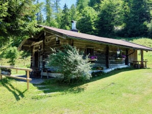 Berghütte Chiemgau Alm Skihütte - Reit im Winkl - image1