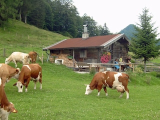 In bester Gesellschaft... :-)