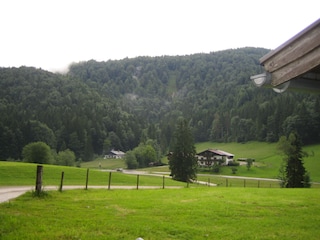 Blick über die Wiesen