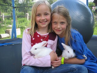 Appartamento per vacanze St. Jakob in Haus Ambiente 15