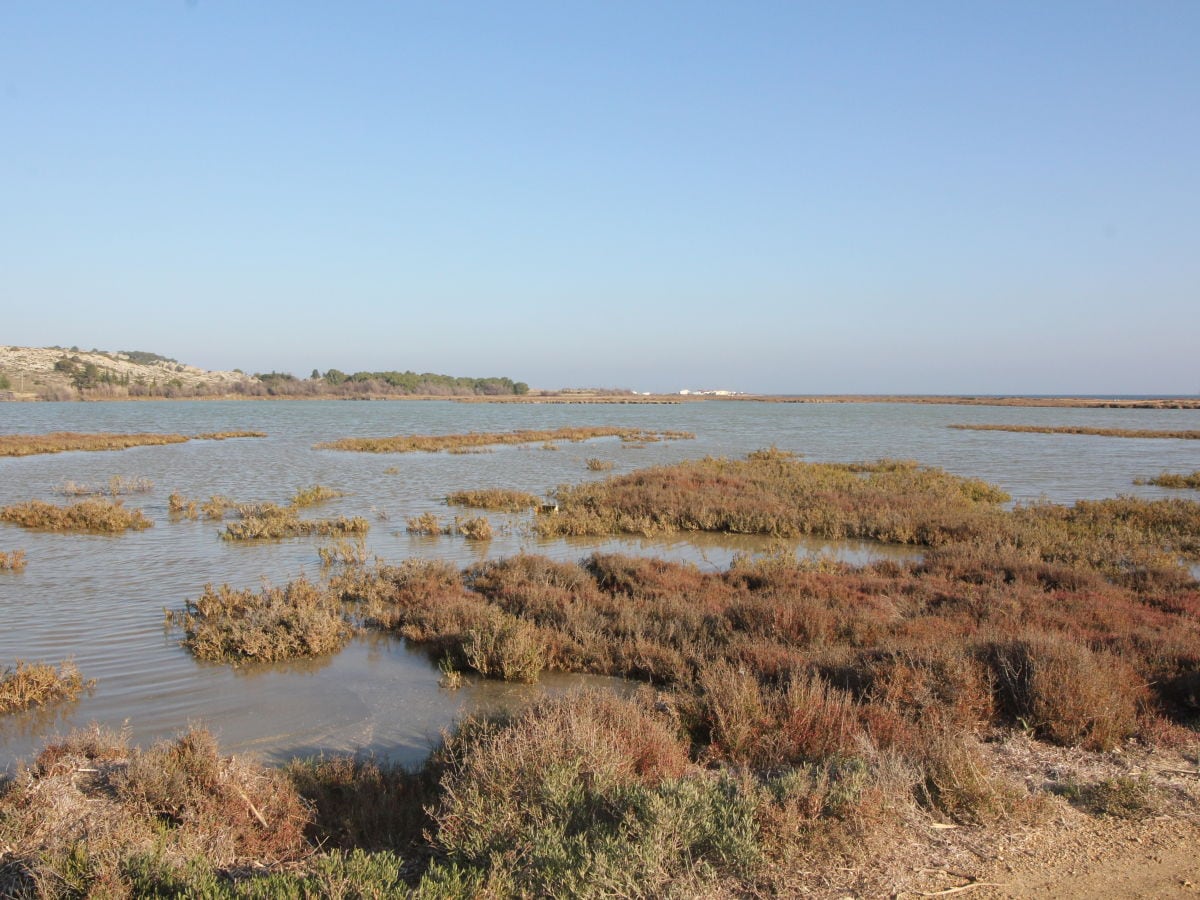 Seenlandschaft bei Gruissan