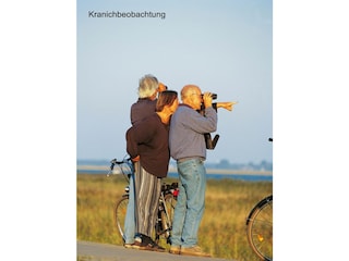Ferienhaus Zingst Umgebung 31