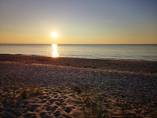 Ferienhaus Zingst Umgebung 34