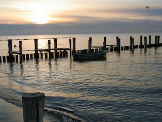 Ferienhaus Zingst Umgebung 35