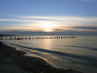 Ferienhaus Zingst Umgebung 36