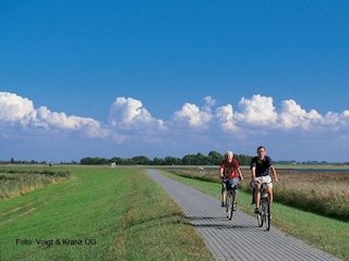 Ferienhaus Zingst Umgebung 37