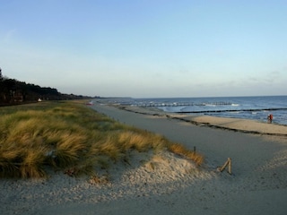 Ferienhaus Zingst Umgebung 38