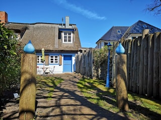 Ferienhaus Zingst Außenaufnahme 10