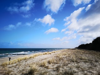 Ferienhaus Zingst Außenaufnahme 20