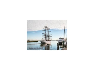 Ferienwohnung Zingst Außenaufnahme 12
