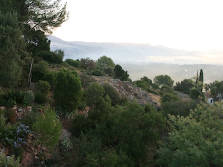 Holiday house Roquebrune-sur-Argens Environment 30