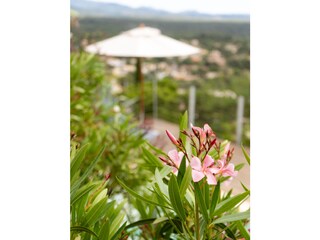 Vakantiehuis Roquebrune-sur-Argens Buitenaudio-opname 18