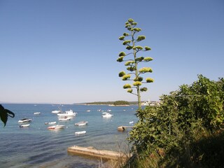 Appartamento Banjol Ambiente 19