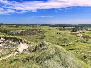 schoorlse-duinen