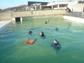 Appartamento per vacanze Oudesluis Ambiente 20