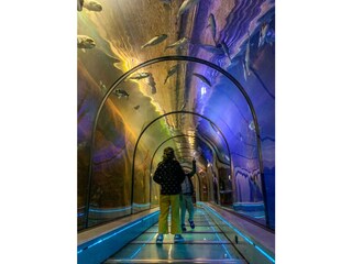 Appartamento per vacanze Oudesluis Ambiente 25