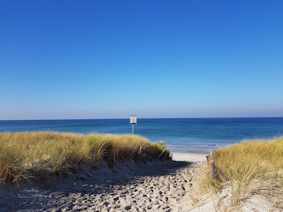 Ferienwohnung Zingst  18