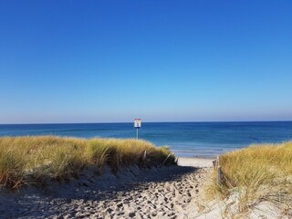 Ferienwohnung Zingst Umgebung 22