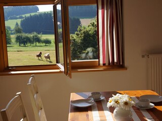 Panoramic view at morning