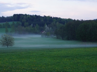 Misty panoramic view