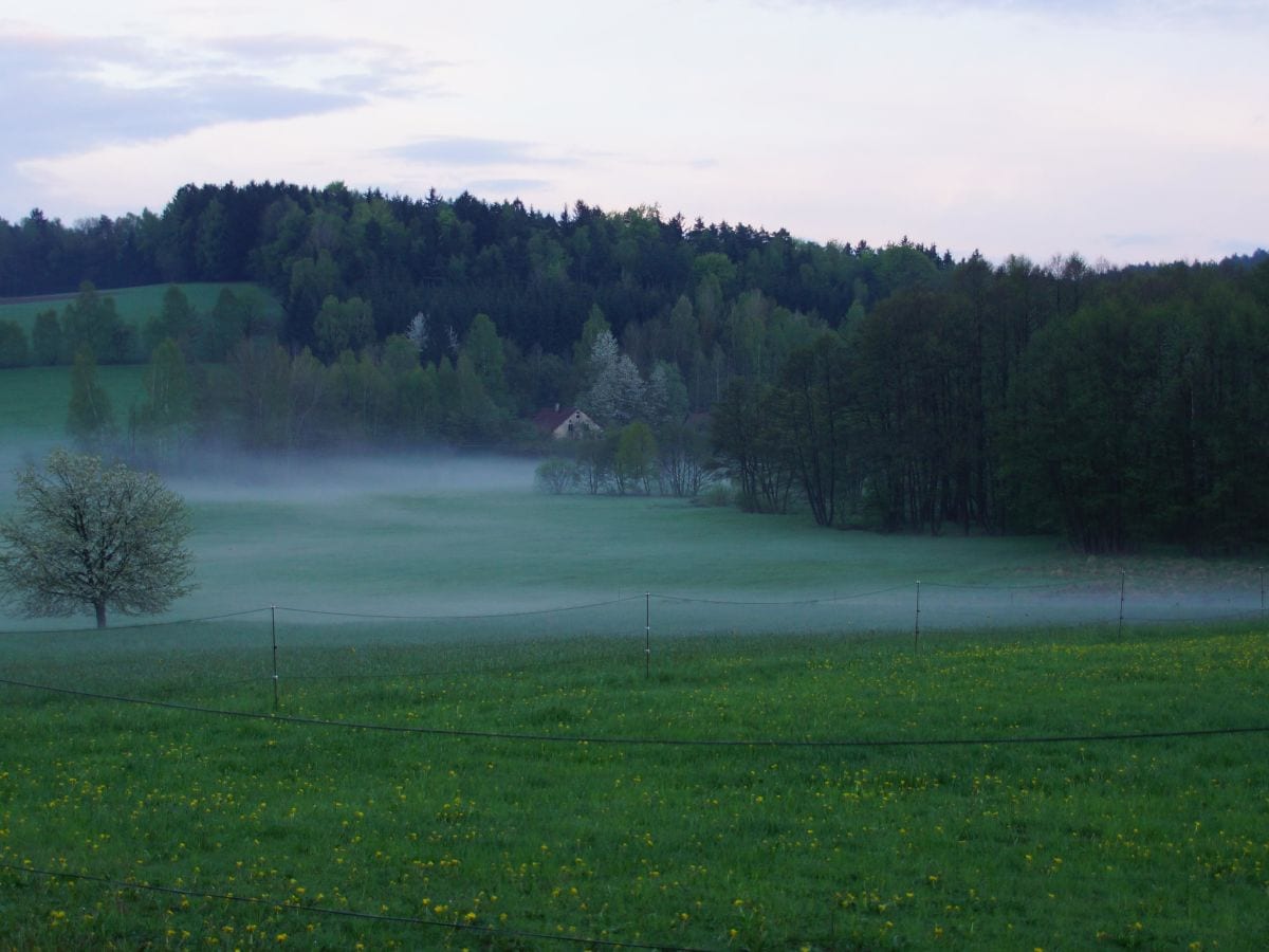 Panoramablick mit Nebel