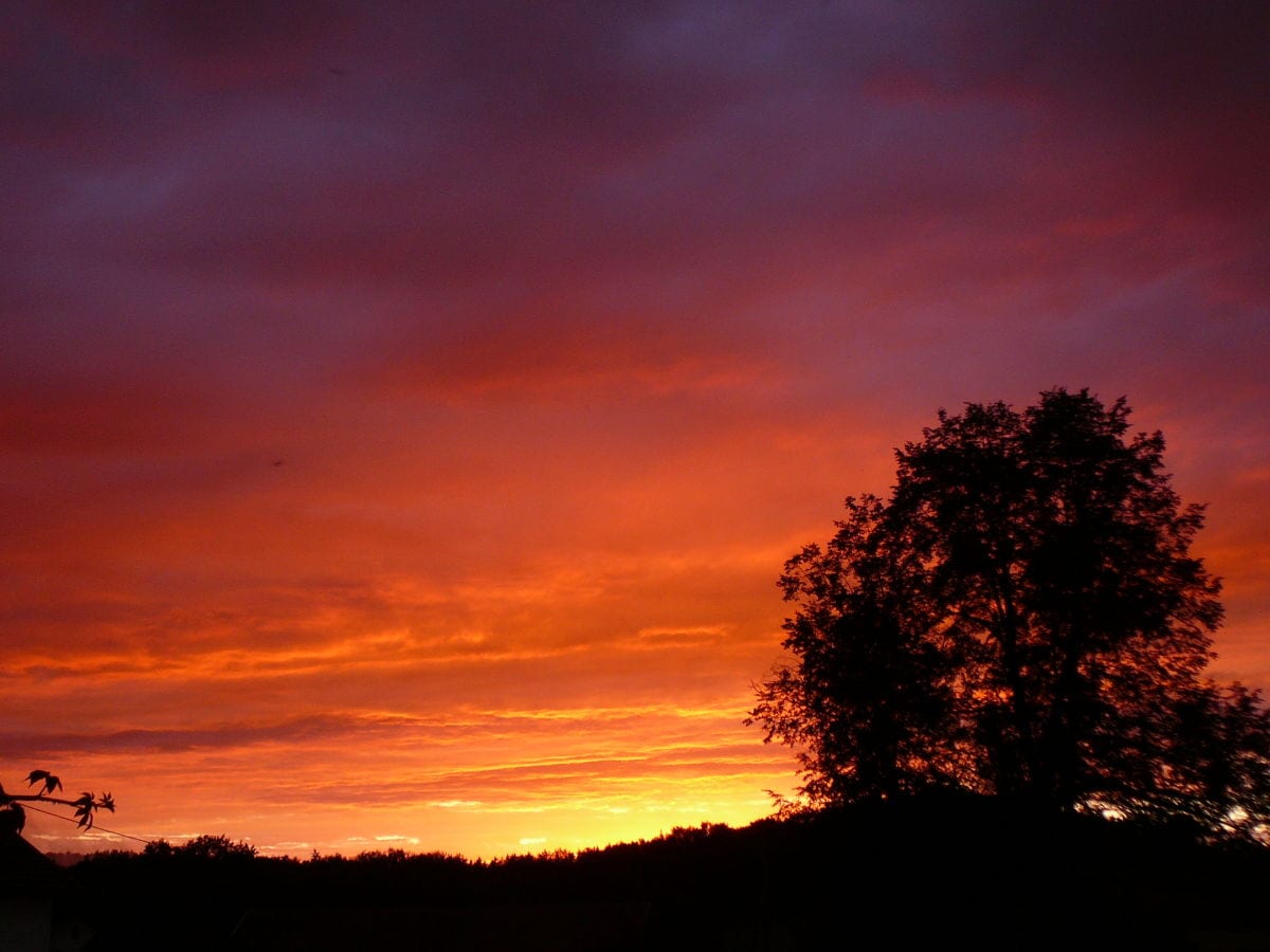 Abendstimmung am Höllbach