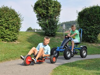 Appartement Faak am See Environnement 20