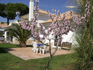 Casa per le vacanze Cartaya Ambiente 3