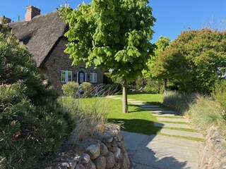 Komplett eingezäunter Garten