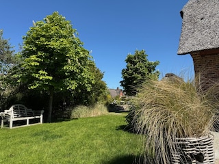 Komplett eingezäunt für Ihre Fellnase