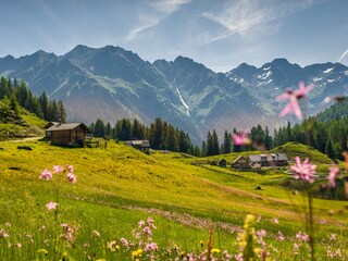 Vakantieappartement Ramsau am Dachstein Omgeving 22