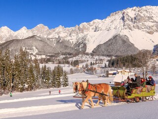 Vakantieappartement Ramsau am Dachstein Omgeving 39