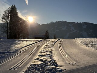 Vakantieappartement Ramsau am Dachstein Omgeving 35