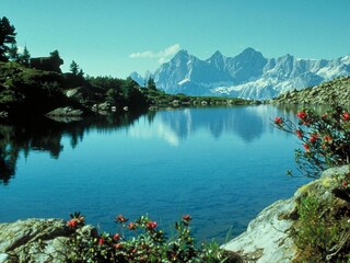 Vakantieappartement Ramsau am Dachstein Omgeving 19