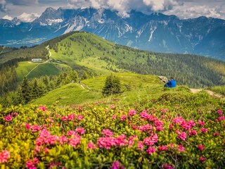 Apartamento de vacaciones Ramsau am Dachstein Entorno 30