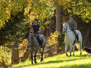Vakantieappartement Ramsau am Dachstein Omgeving 34