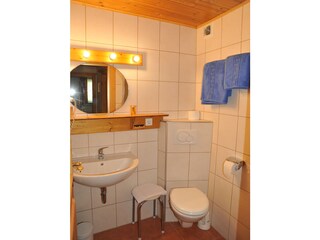 Casale Reith bei Kitzbühel Caratteristiche 20