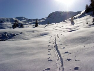 Appartamento Auffach Ambiente 38