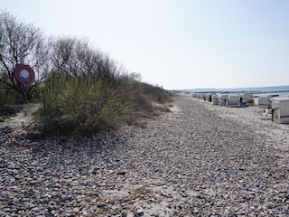 Düne