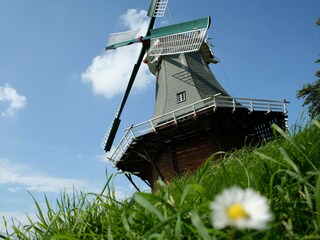 Ferienhaus Greetsiel Umgebung 13