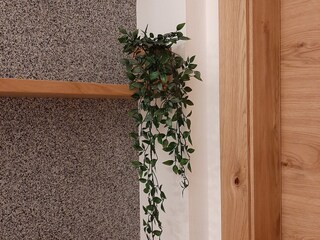 Appartamento per vacanze Nußdorf am Attersee Caratteristiche 24