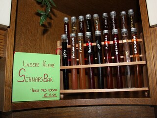 Appartamento per vacanze Nußdorf am Attersee Ambiente 40