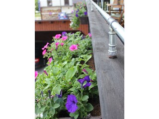 Appartamento per vacanze Nußdorf am Attersee Registrazione all'aperto 18