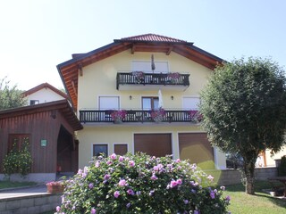 Appartamento per vacanze Nußdorf am Attersee Registrazione all'aperto 7