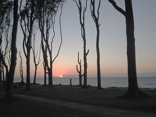 Sonnenuntergang im Gespensterwald